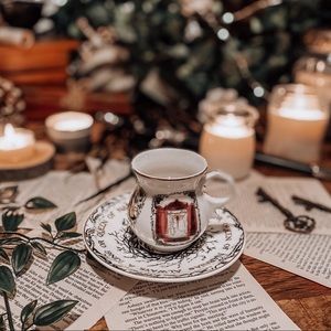 Narnia Teacup and Saucer